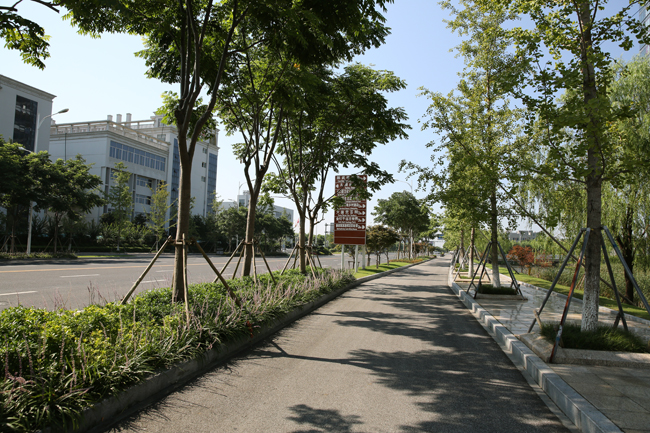 陳王路景觀(guān)工程